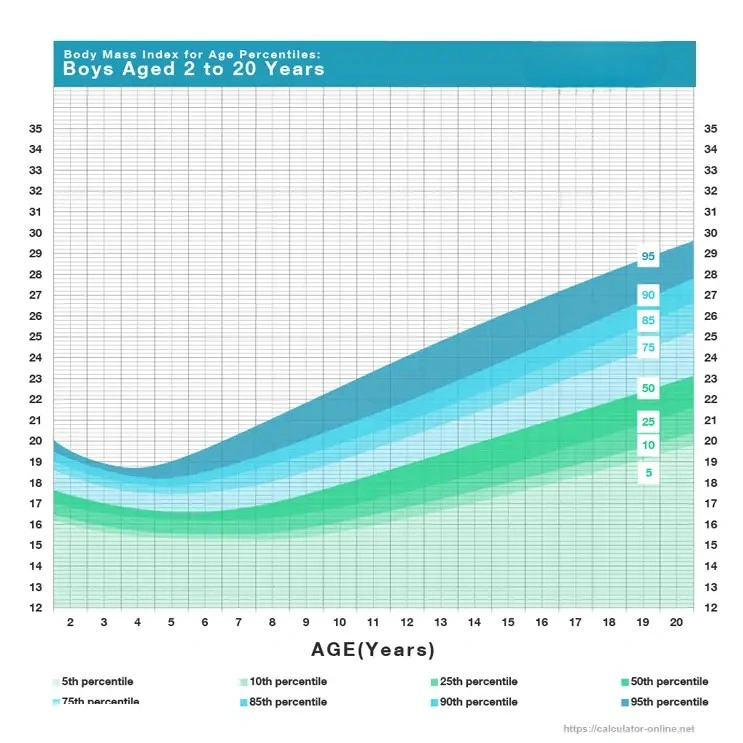 bmi chart for kids and teens (boys)